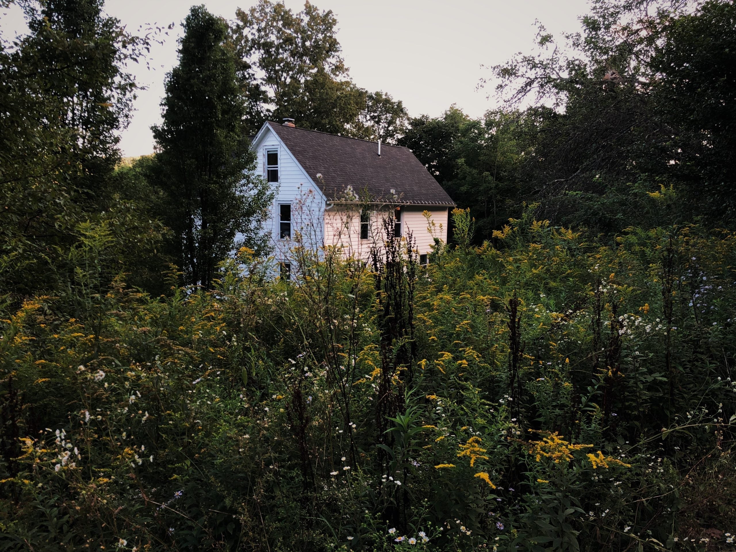 Milieu: Layers of Warmth with Lisa Przystup