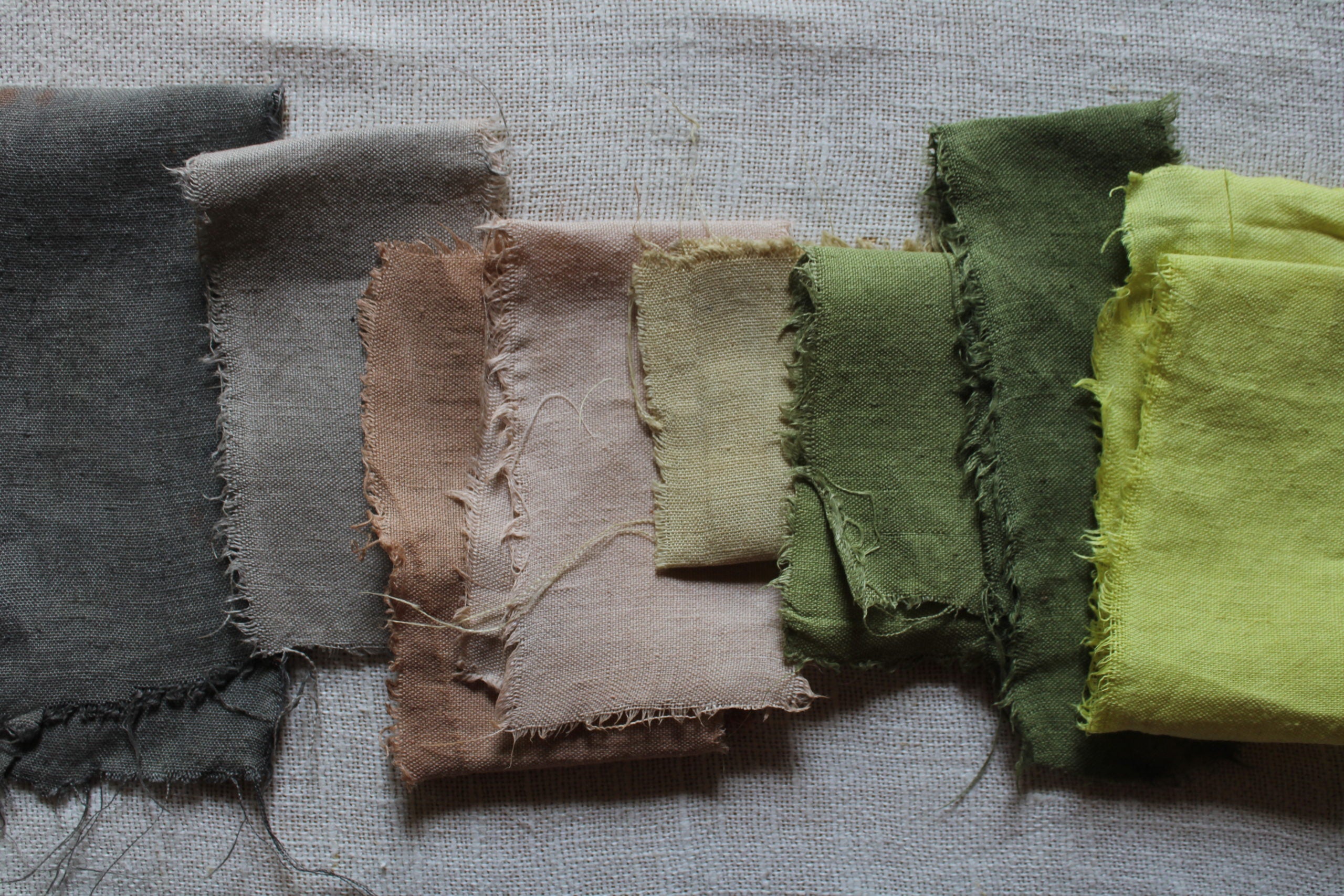 homemade natural dyes with bess piergrossi