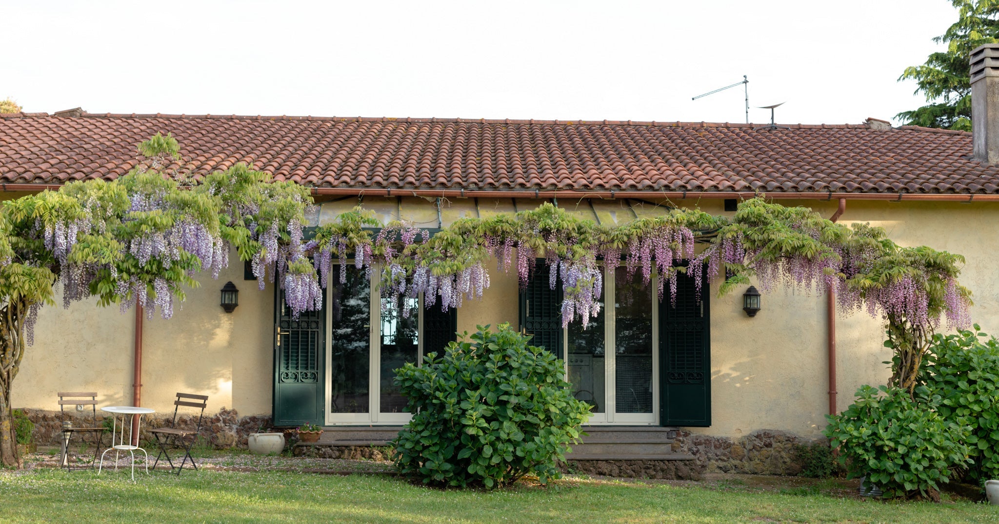 an exterior shot of an Italian home with tile roof and cascading wisteria
