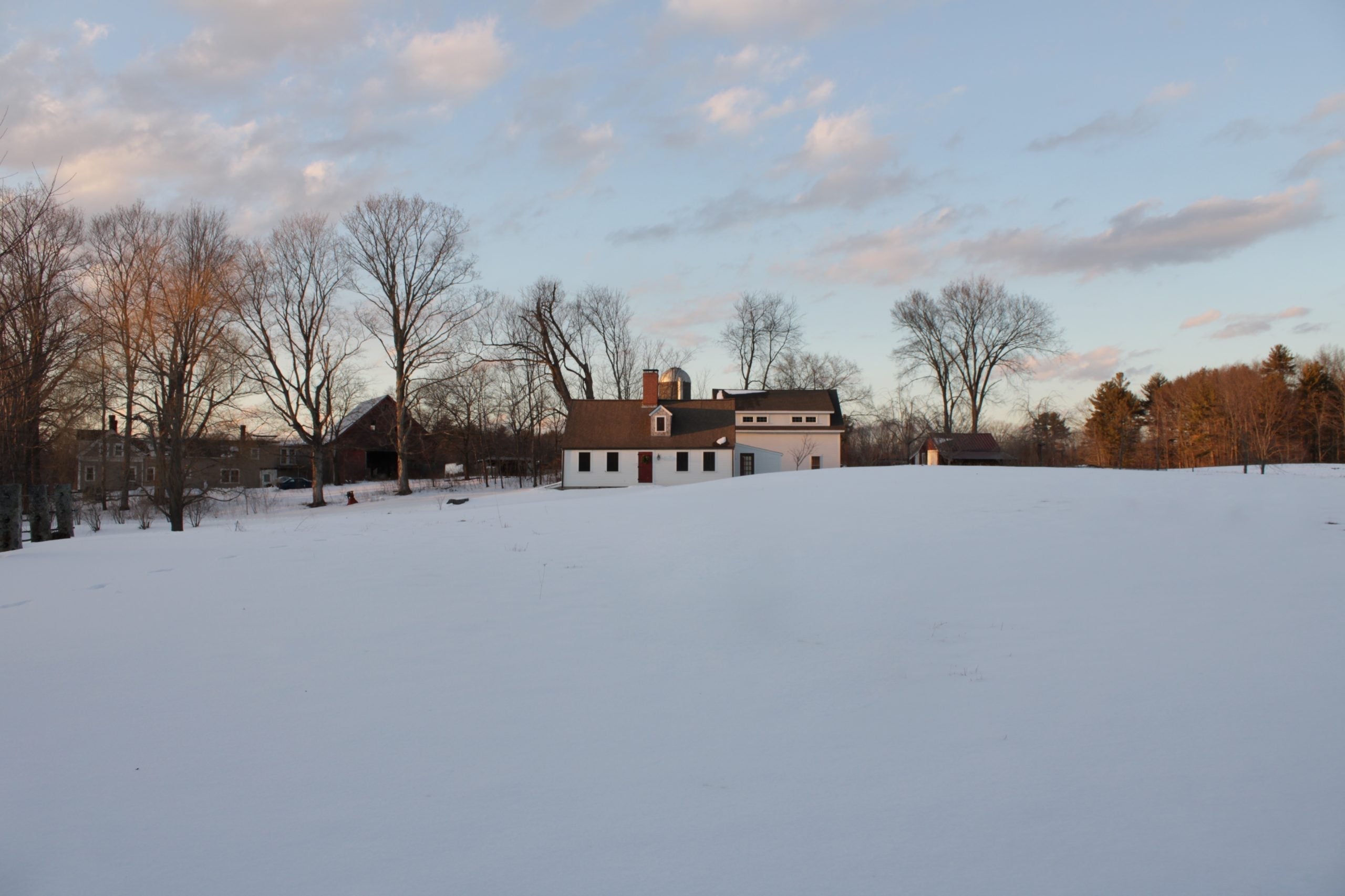 Milieu: From her Homestead with Bess Piergrossi