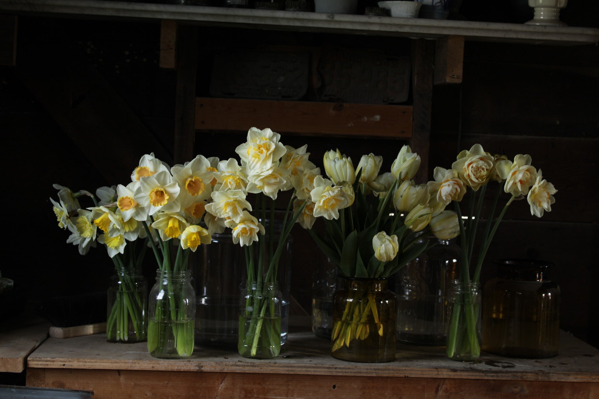 early spring daffodils in jars on a workshop table