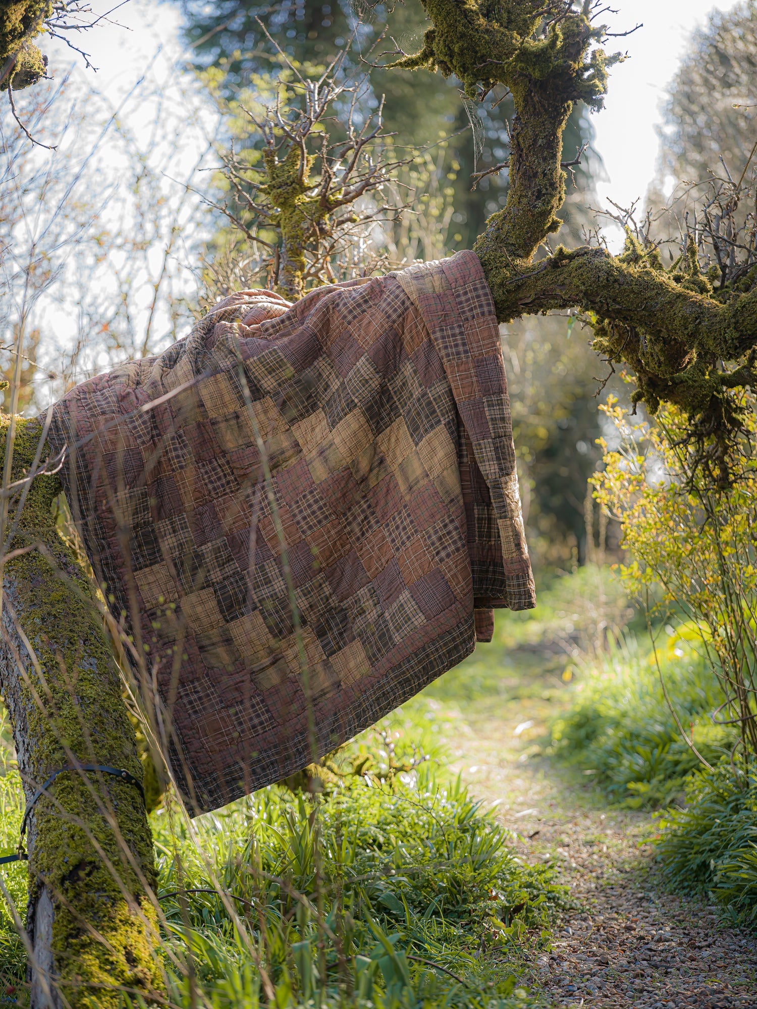 Blankets & Throws