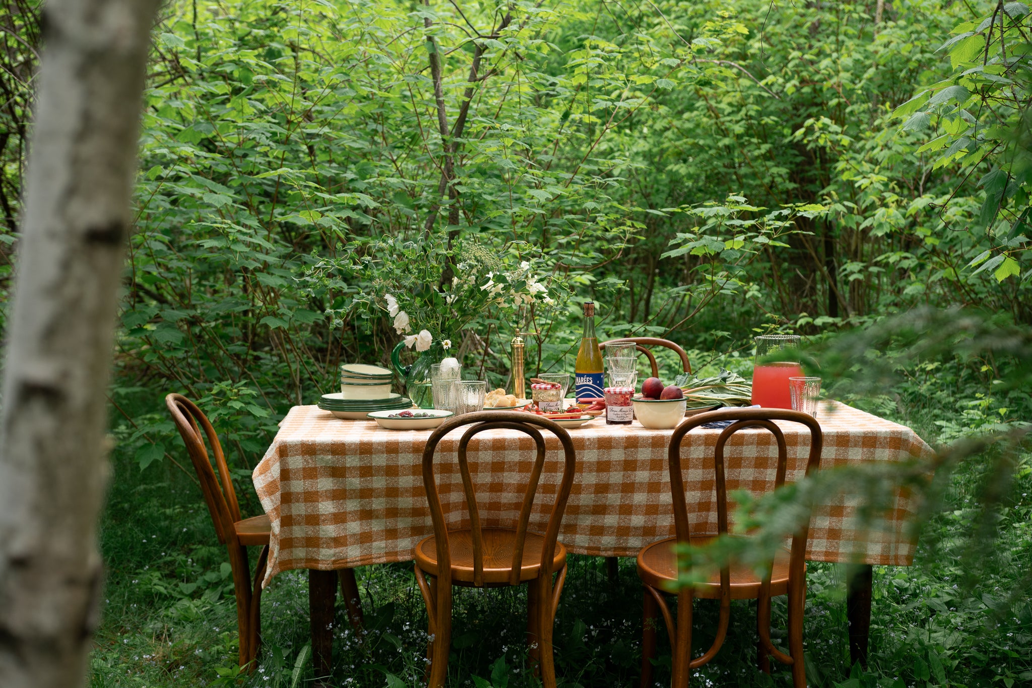 Dining table set with a checkered tablecloth in a forest setting
