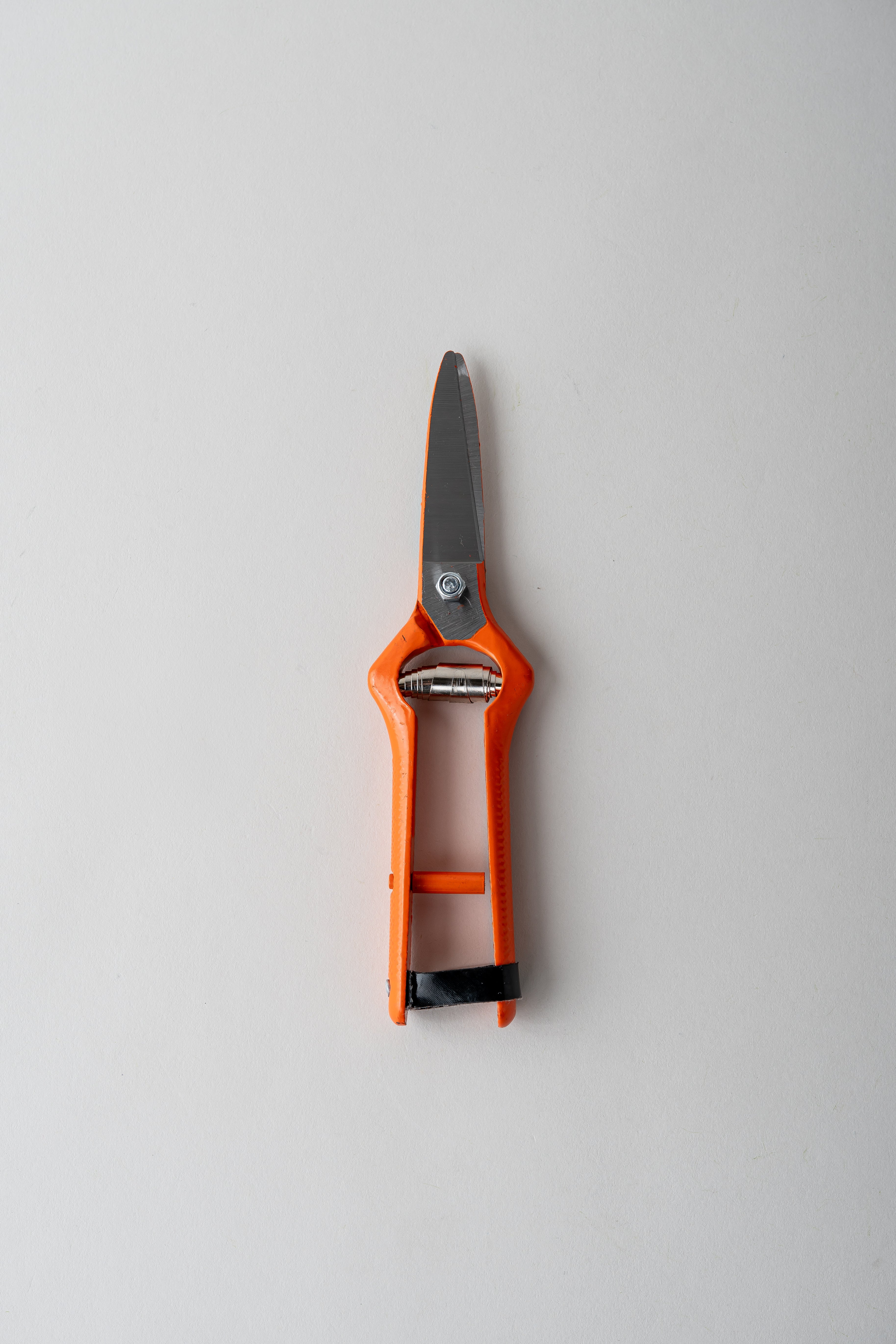 Pruning Shears - Straight