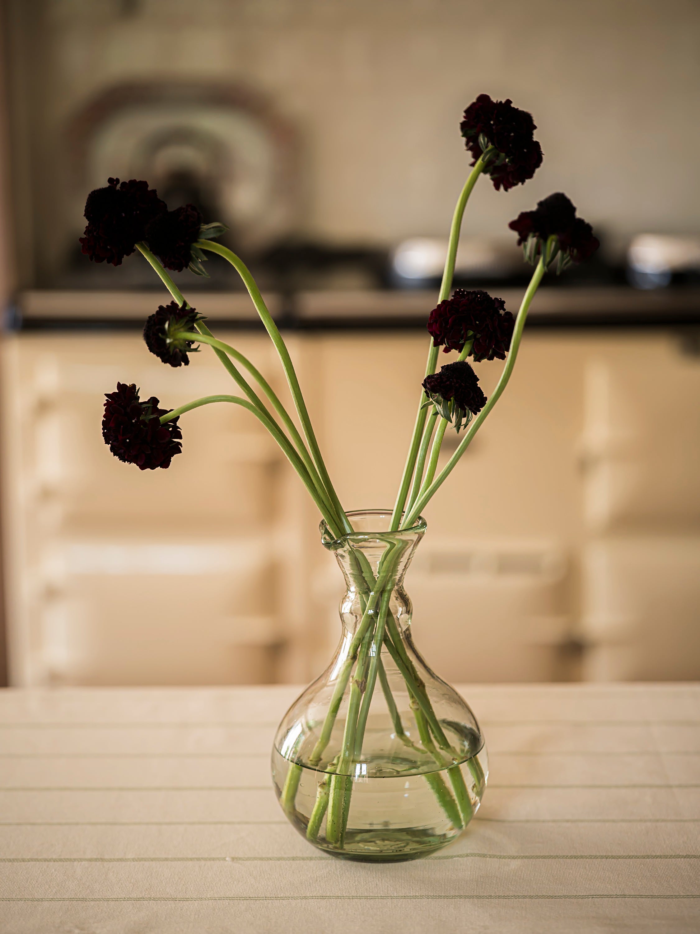 June Home Supply Siringa Carafe - Thumbnail 2