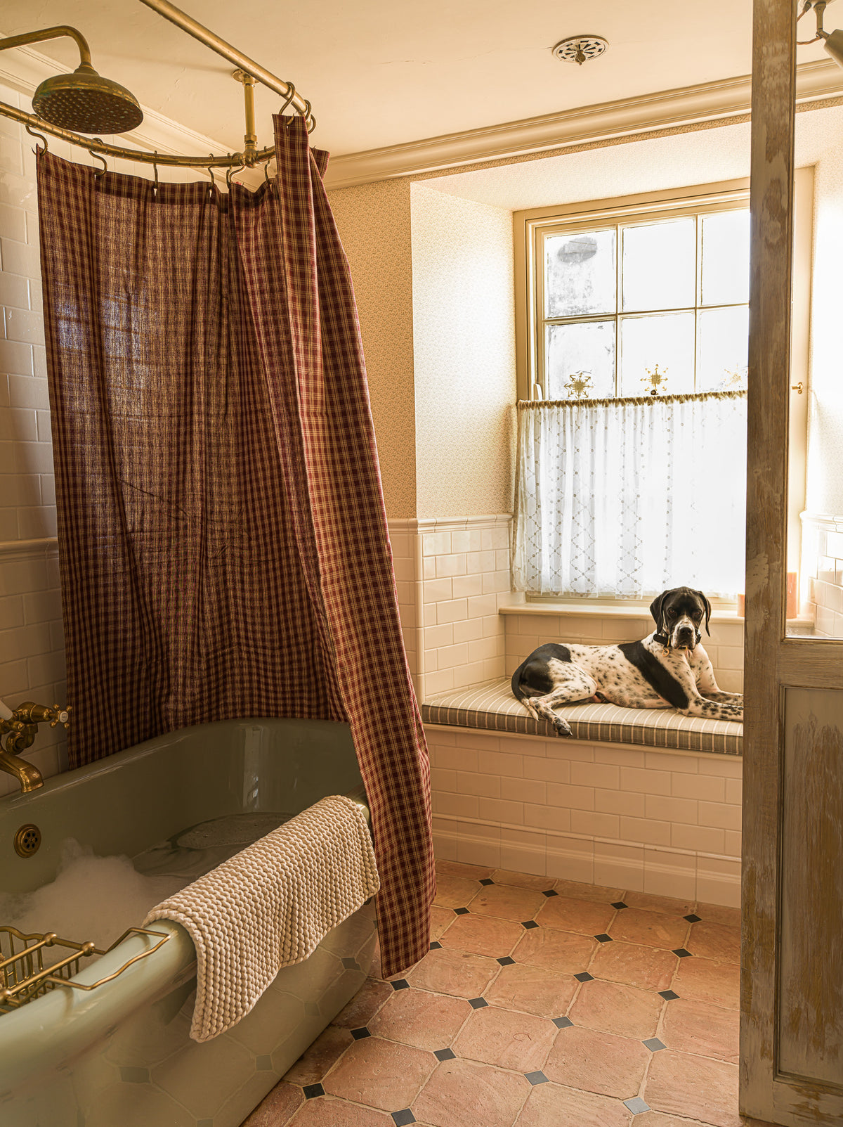 A vintage-style bathroom with a brown and red gingham shower curtain, terracotta tile floor, and a black-and-white dog lying on a built-in bench by a window.