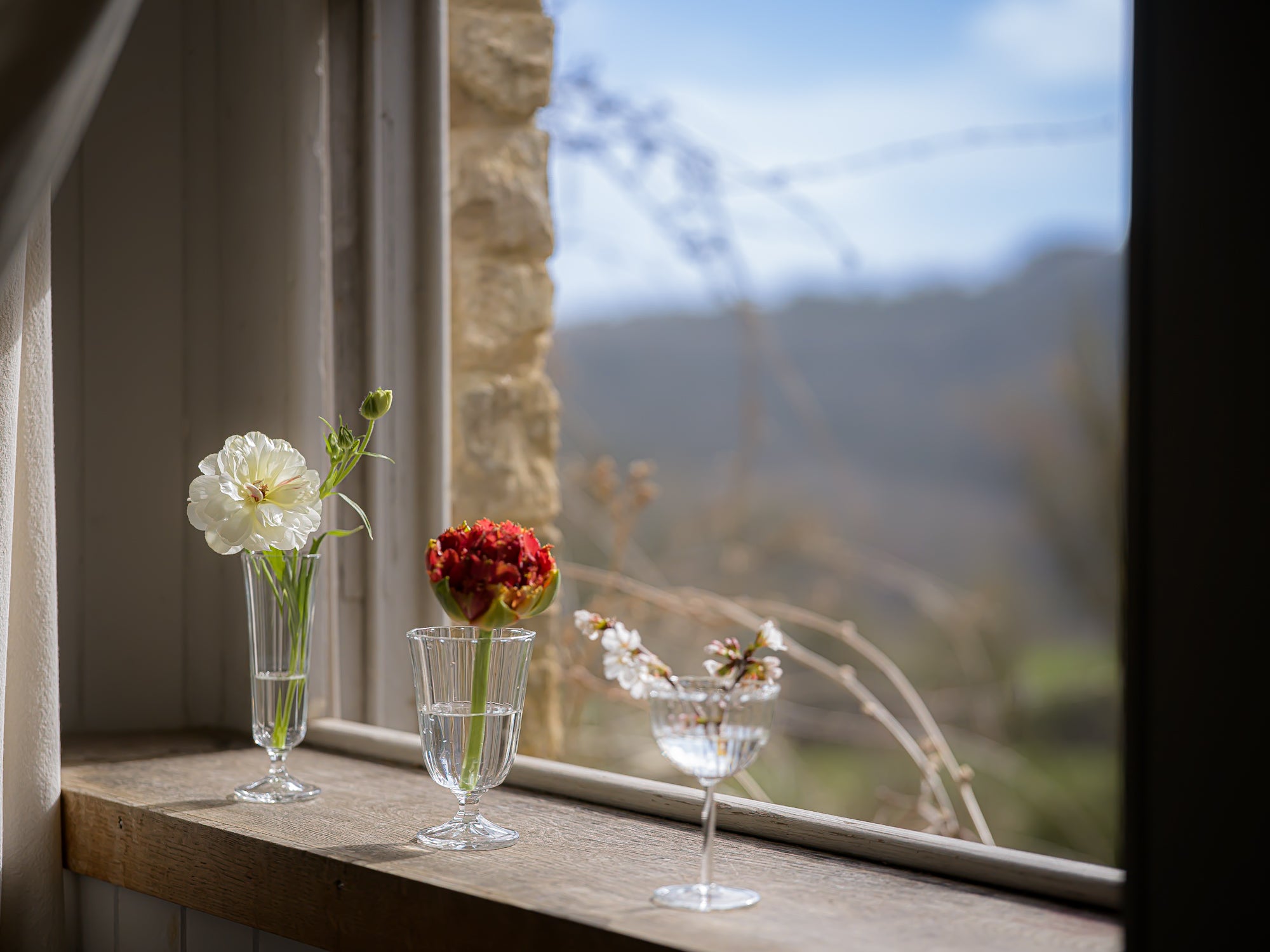 Three glass vases with flowers on a windowsill with a scenic view outside.